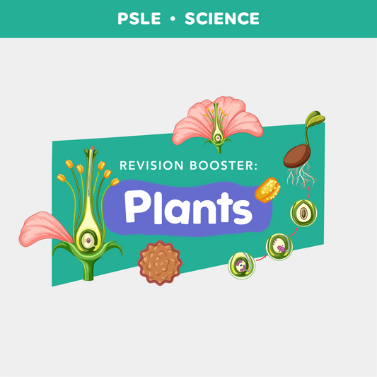 PSLE Science: Revision Booster (Plants)